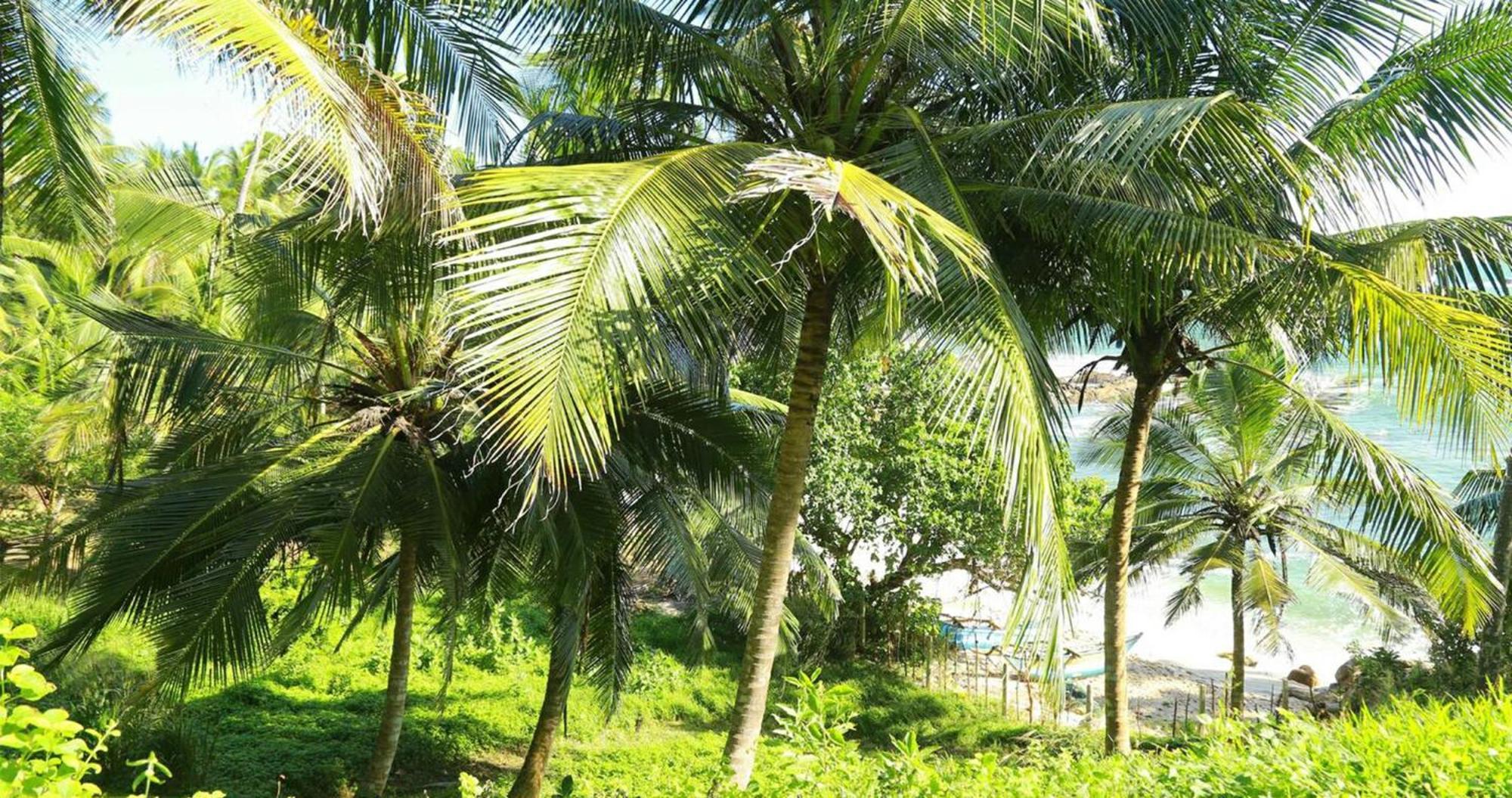 Bluewind Resort Tangalle Zewnętrze zdjęcie